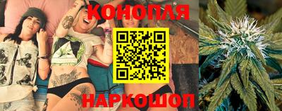 крисы Будённовск