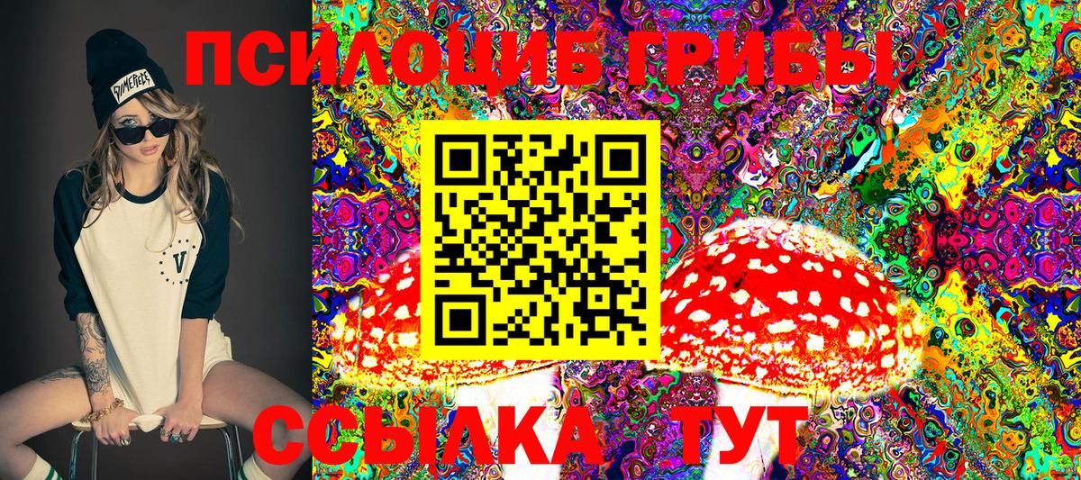 Псилоцибиновые грибы прущие грибы  Вход с VPN  Йошкар-Ола 